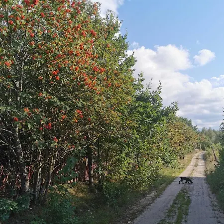 Letniskowy Zloty Karas Prázdninový dům Widna Gora