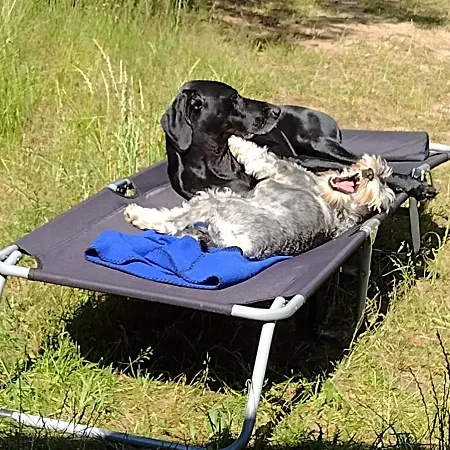 Letniskowy Zloty Karas