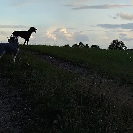 Letniskowy Zloty Karas * Widna Gora