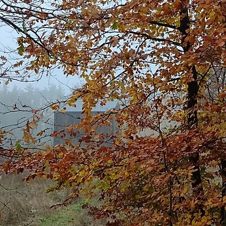 Letniskowy Zloty Karas Widna Gora