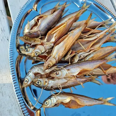 別荘 Letniskowy Zloty Karas