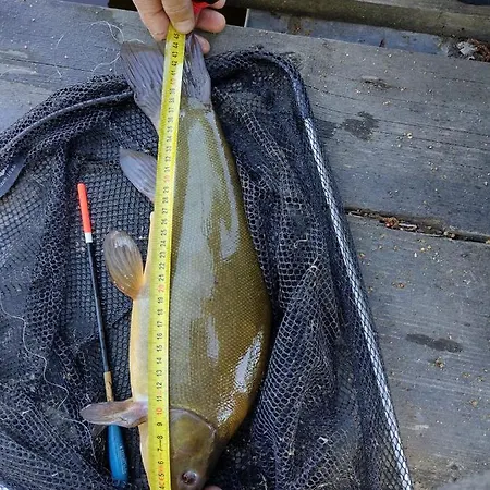 Letniskowy Zloty Karas 別荘