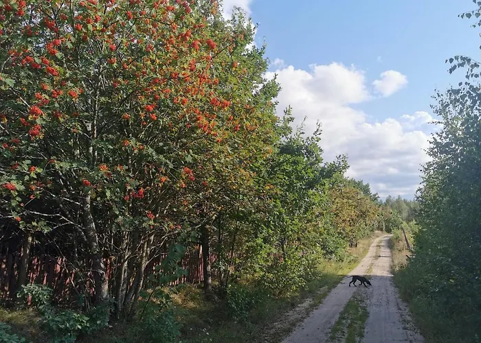 Letniskowy Zloty Karas Дом отдыха Widna Gora