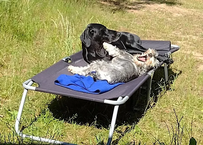 Letniskowy Zloty Karas