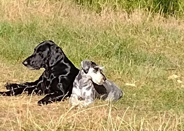 Letniskowy Zloty Karas