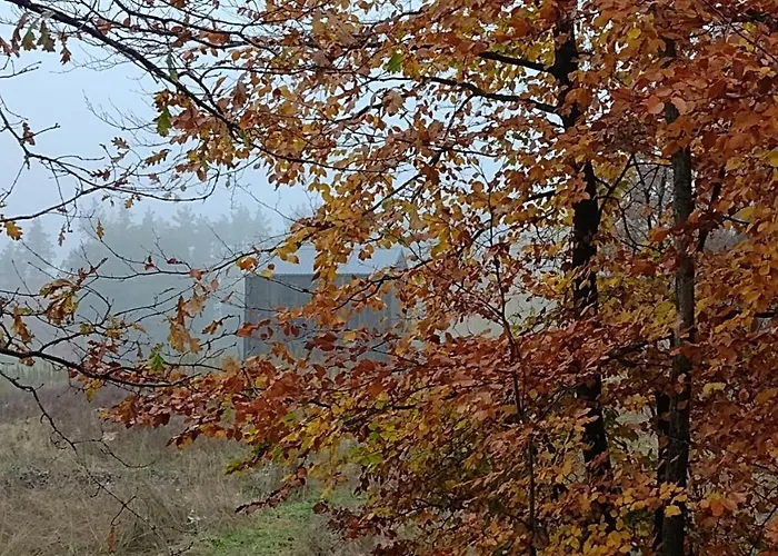 Letniskowy Zloty Karas Widna Gora