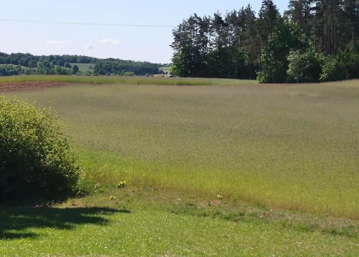 Дом отдыха Letniskowy Zloty Karas *